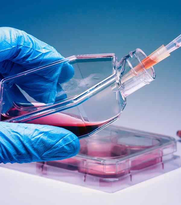 https://kidneyhealers.com/wp-content/uploads/2020/04/service_5.jpg